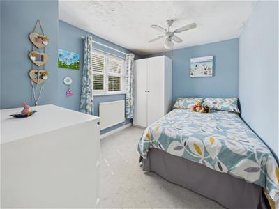 Picture 16